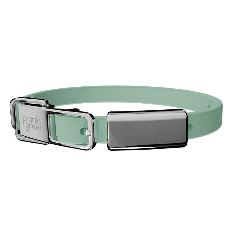 frank green Pet Collar + Name Tag Small Mint Gelato image number 0